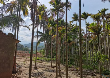 水?，F(xiàn)場(chǎng)照片